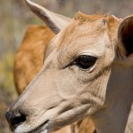 200810_Touwsberg_453