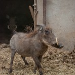 201012_Touwsberg_011