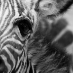 201012_Touwsberg_061