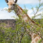 201012_Touwsberg_122